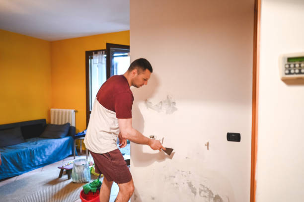 Best Black Mold Removal  in Bel Air, MD